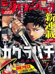 免费高清电影在线观看高清完整版 - 海贼王